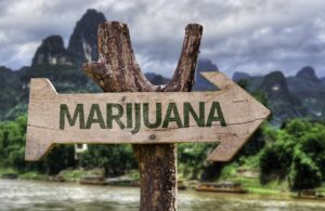 Seattle-Hempfest-Blog-Marijuana