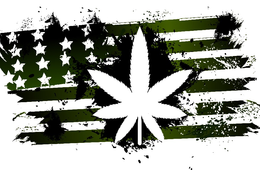 Seattle-Hempfest-United-States-Of-Cannabis